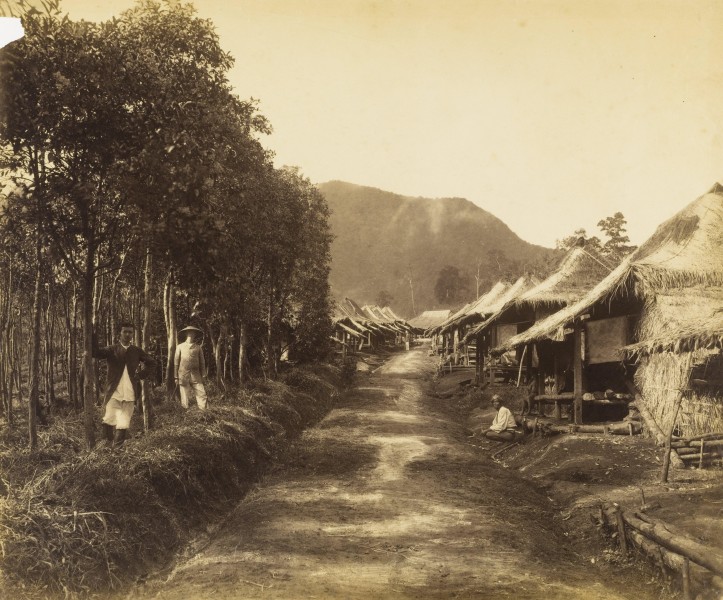 KITLV - 40330 - Stafhell & Kleingrothe - Medan - Plantation of Kayu putih (Melaleuca leucadendra, weeping paperbark) and workers' housing in Deli - circa 1890