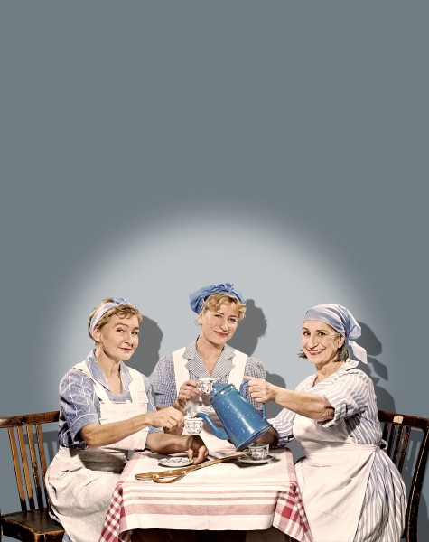 Lillys Danmarkshistorie - i anledning af 100 året for kvindernes valgret