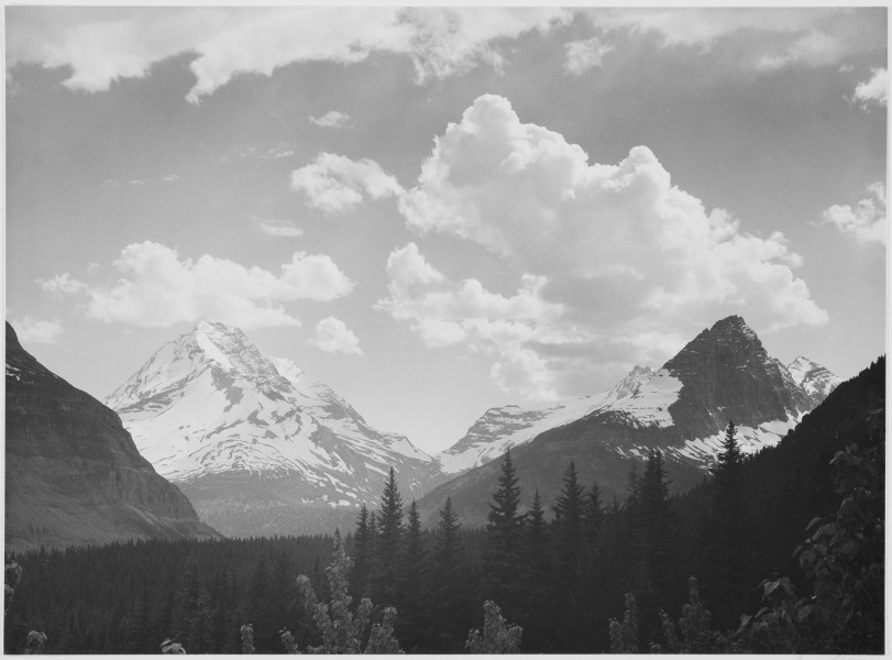 Looking across forest to mountains and clouds, 