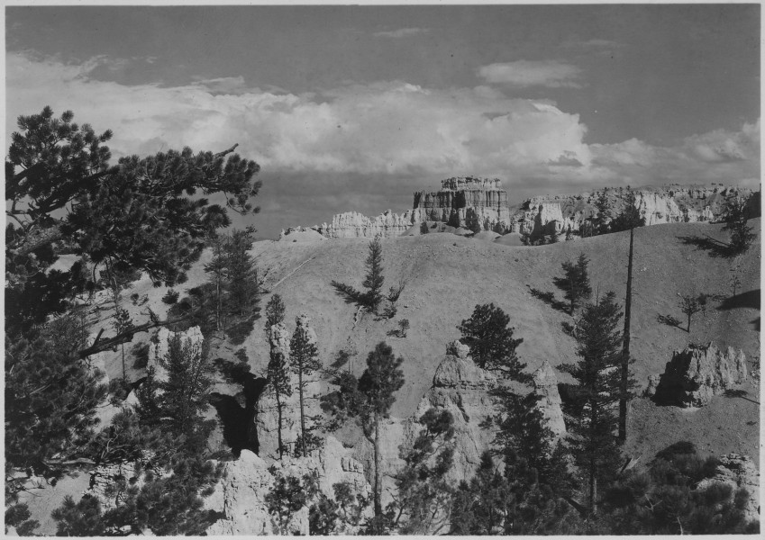 Looking east from Cathedral Ridge to Bryce Temple. - NARA - 520282