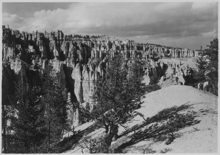 Looking north from Cathedral Ridge toward Sunrise and Sunset Points. - NARA - 520285