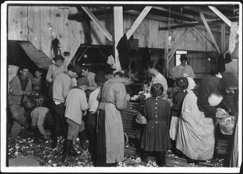Oyster shuckers at work. Small girls working on right of photo are Gertrude Kron, 5 years old, and Pauline, 8 years... - NARA - 523401