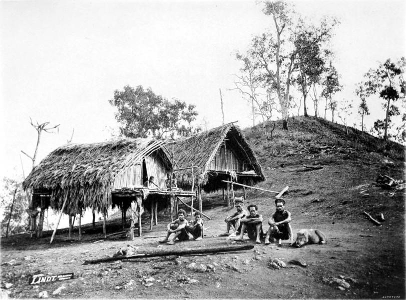 Picturesque New Guinea Plate XIII - The Village Pet at Sadara Makara