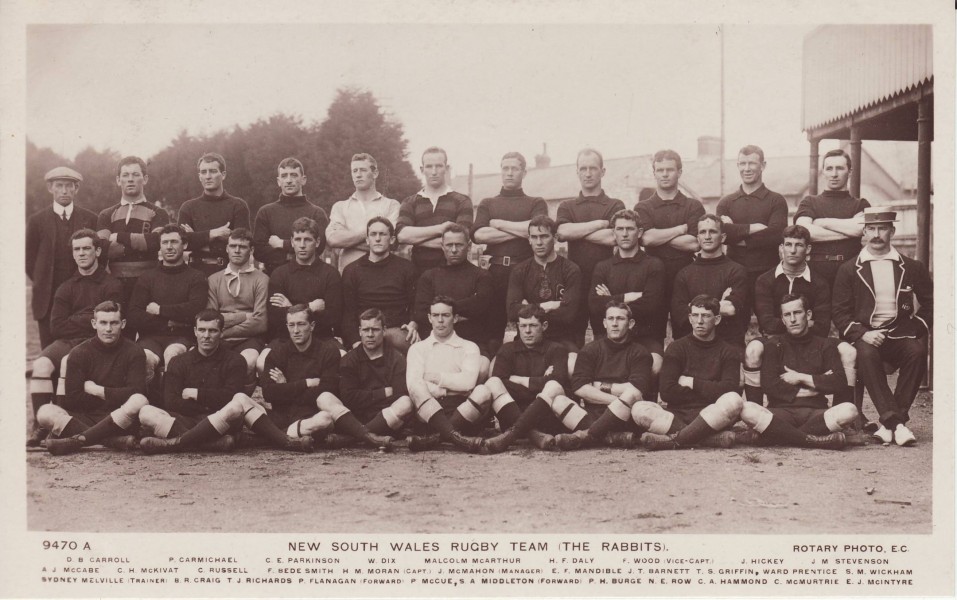 Postcard - Rabbits 1908