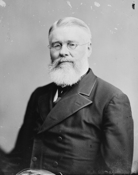 Richard Jordan Gatling - Brady-Handy