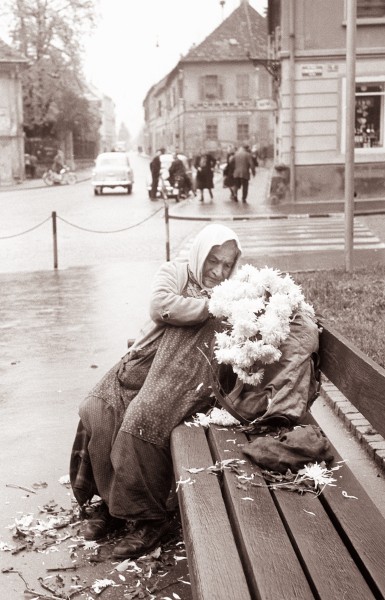 Rože za dan mrtvih 1961 (2)