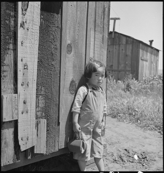 San Lorenzo, California. A farm youngster pictured two days before evacuation of persons of Japanes . . . - NARA - 537538
