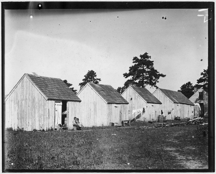 Small shack on Forsythe's Bog occupied by DeMarco family, 10 in the faiily living in this one room. Room is 10 ft. x... - NARA - 523269