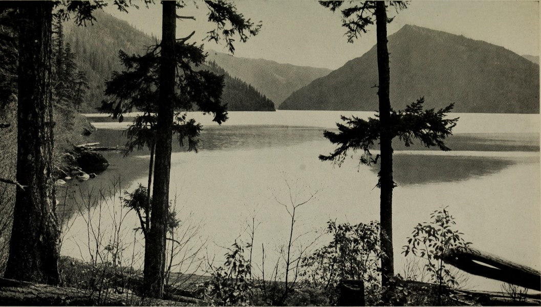 The Beauties of the state of Washington - a book for tourists (1915) (14589640179)