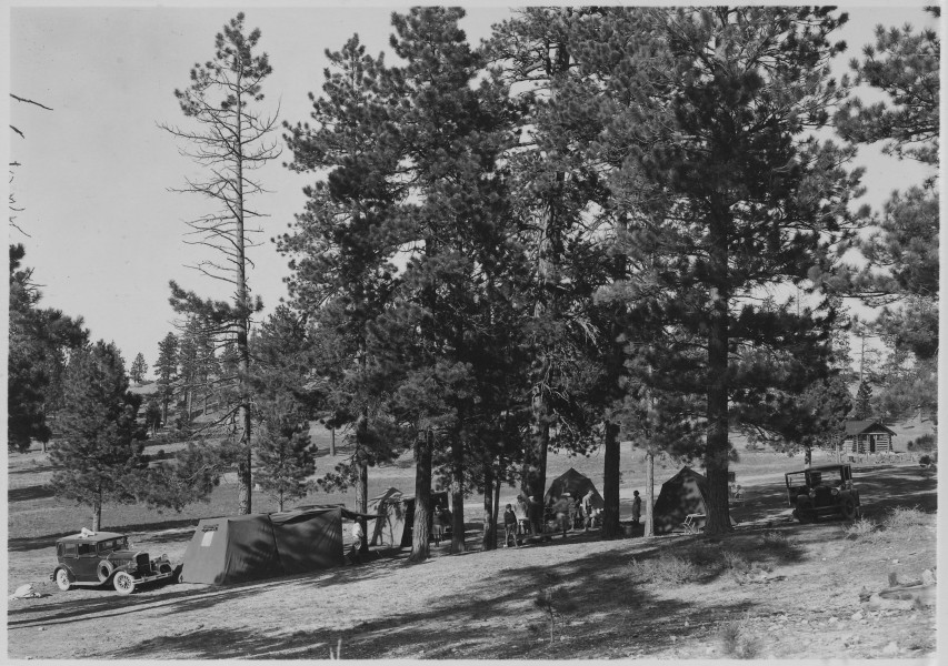 Tourist camp at Bryce Canyon. - NARA - 520221