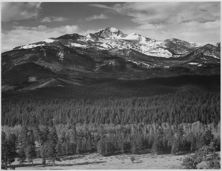 Trees in foreground, snow covered mountain in background, 