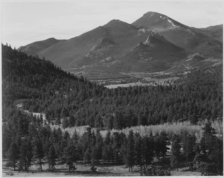 View with trees in foreground, barren mountains in background, 