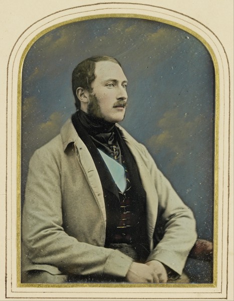 William Edward Kilburn - Prince Albert (1819-61) - Google Art Project
