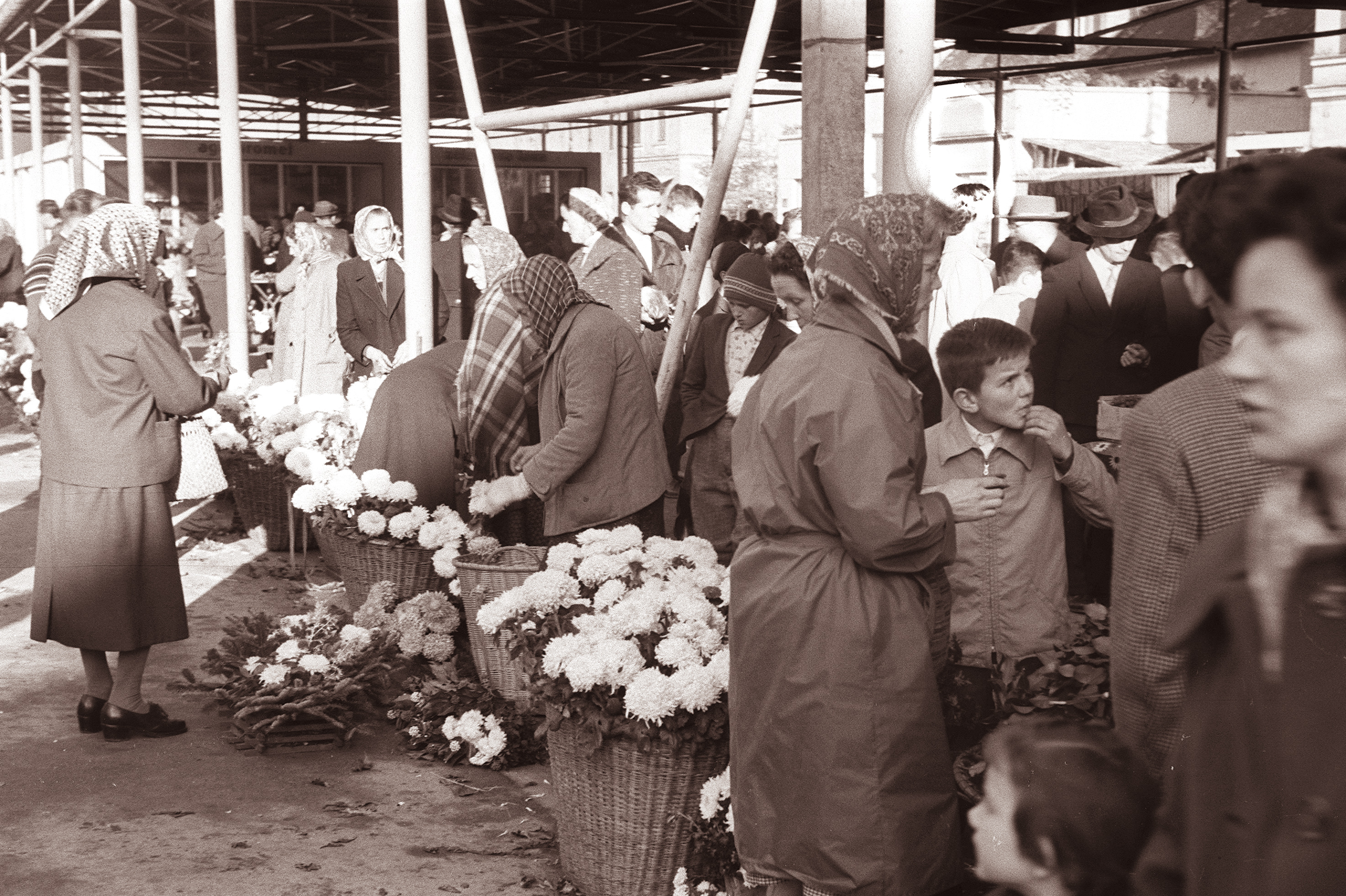 Prodaja rož na celjski tržnici 1961