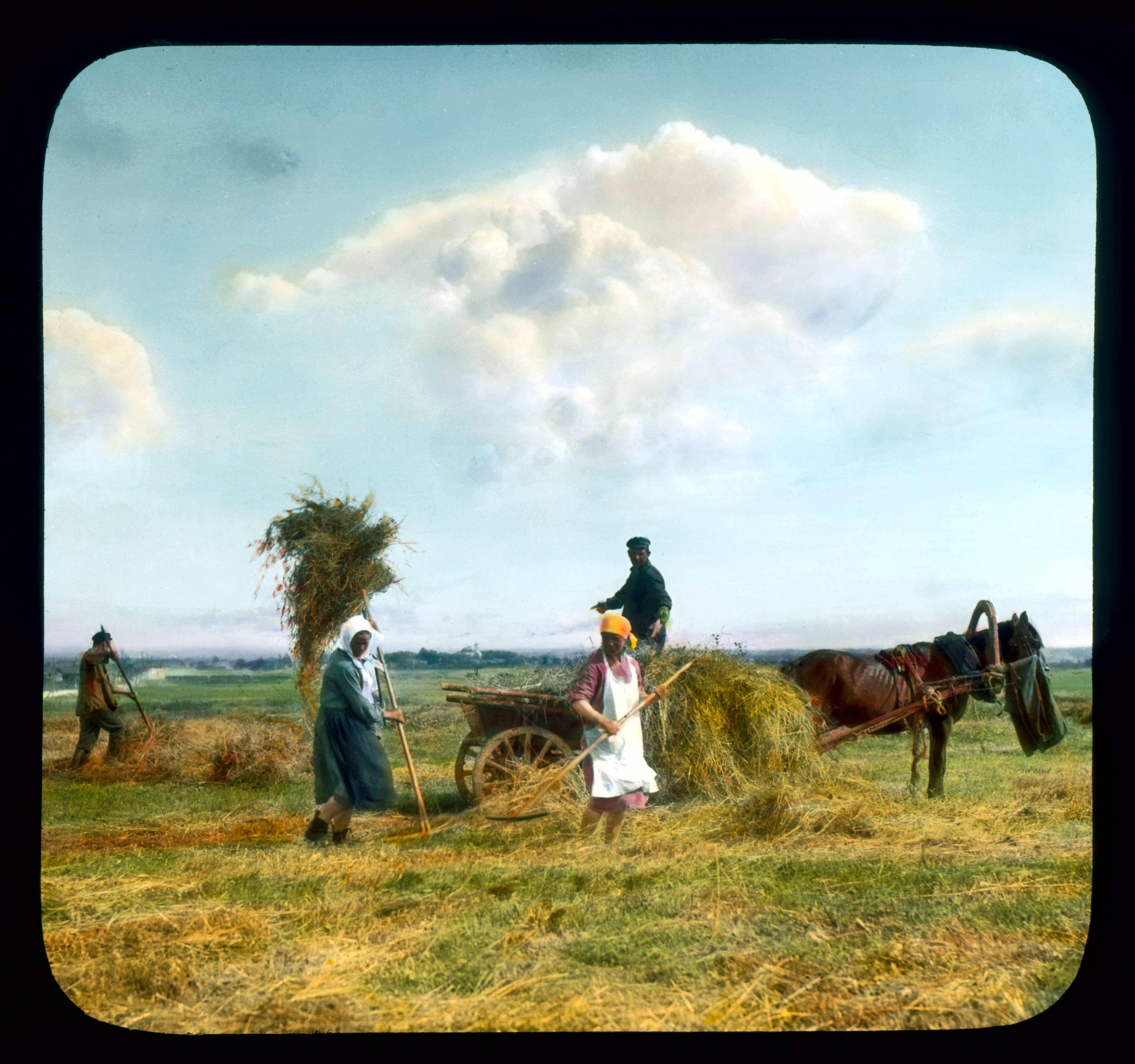 Saint Petersburg farmers harvesting hay, near Leningrad