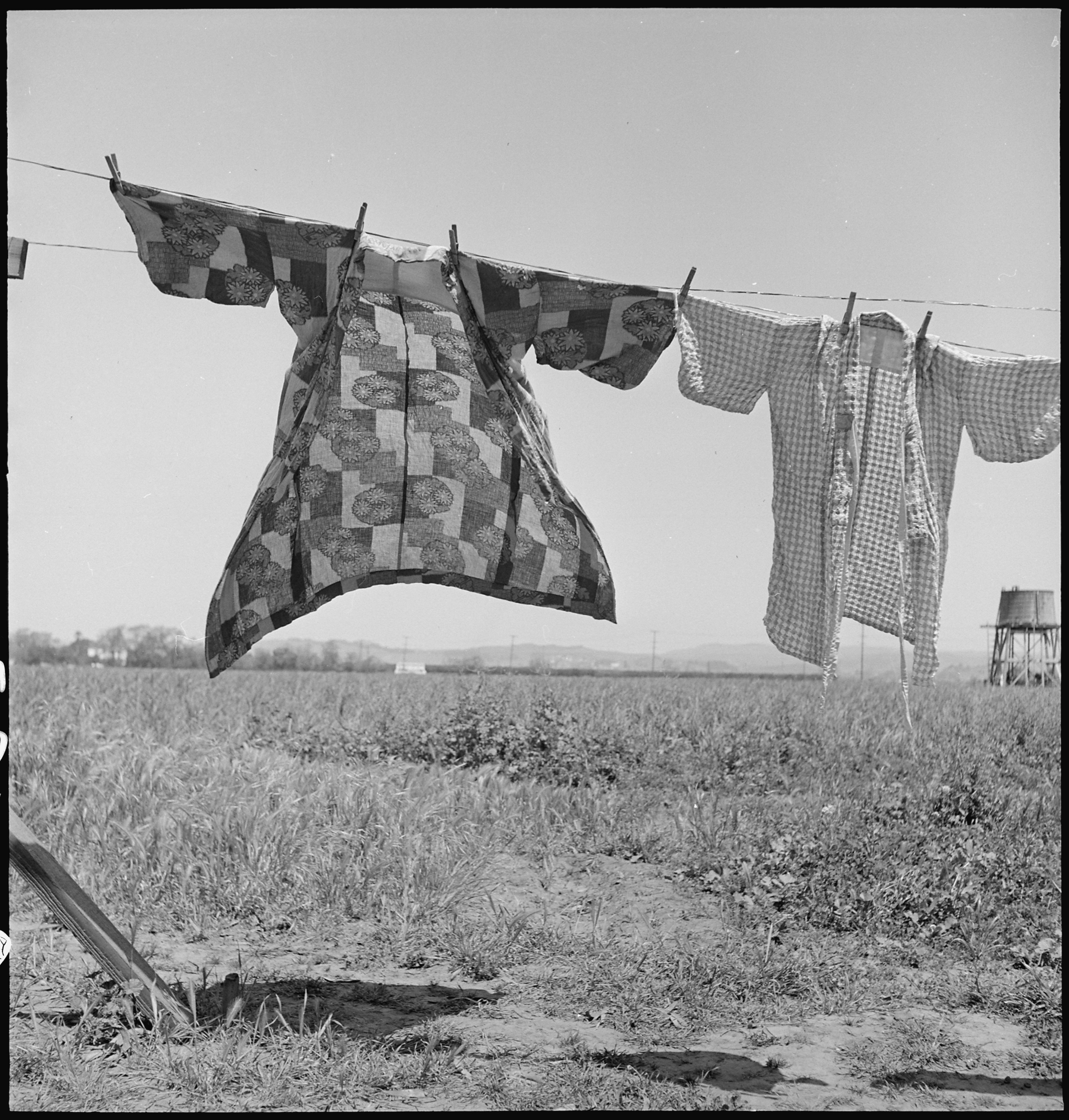San Lorenzo, California. Washday 48 hours before evacuation of persons of Japanese ancestry from th . . . - NARA - 537542