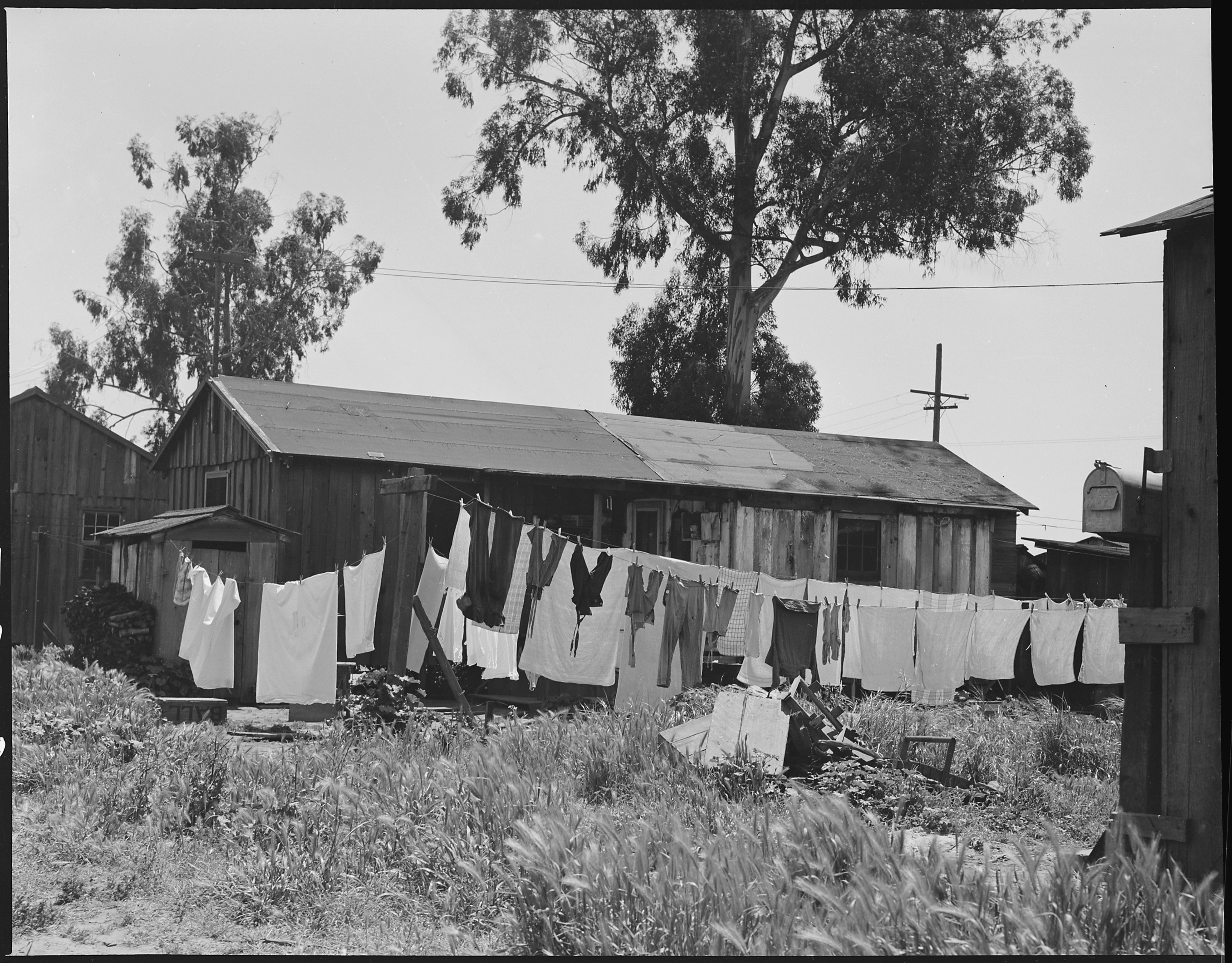 San Lorenzo, California. Washday 48 hours before evacuation of persons of Japanese ancestry from th . . . - NARA - 537544