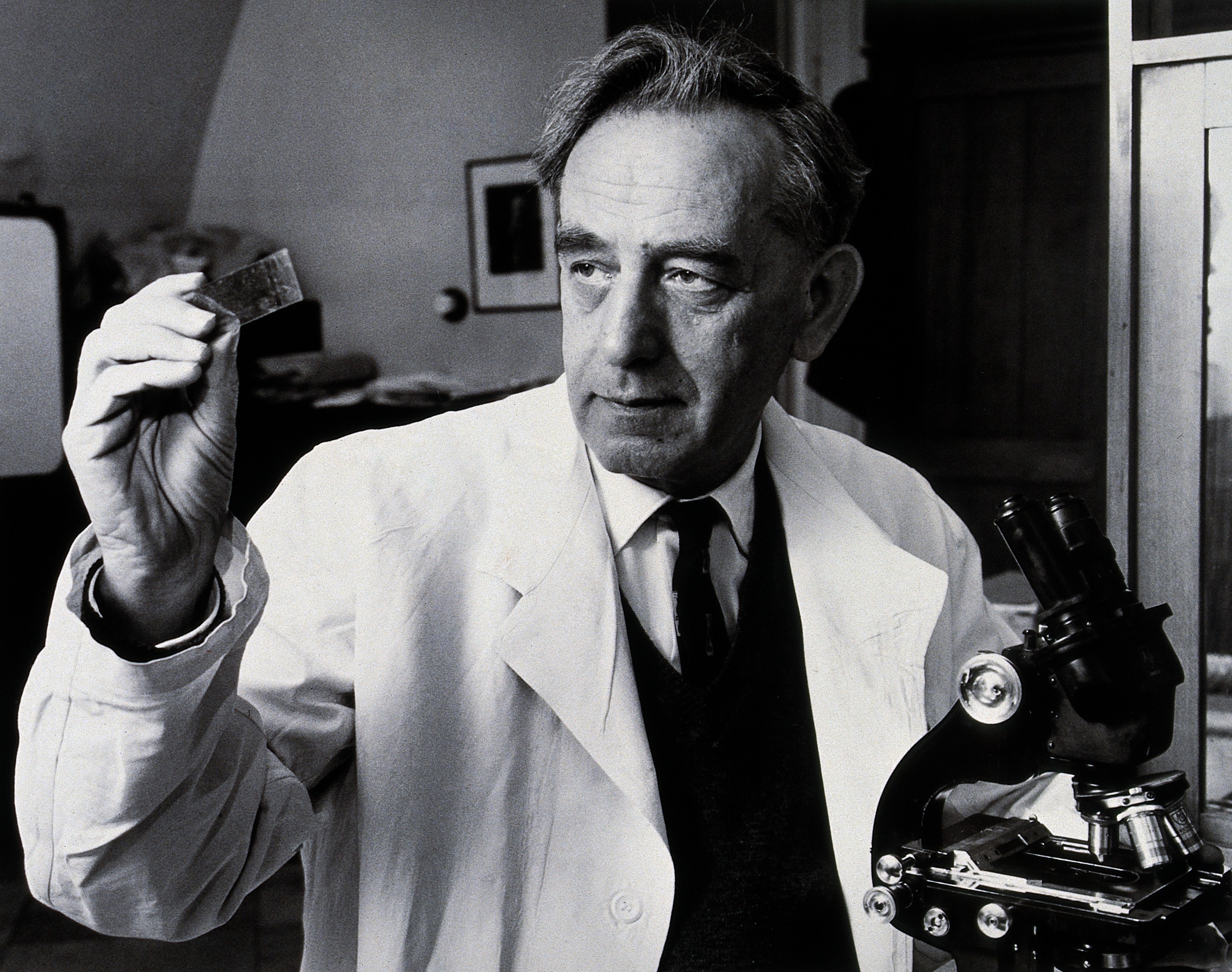Saul Adler. Photograph by Harris. Wellcome V0025953