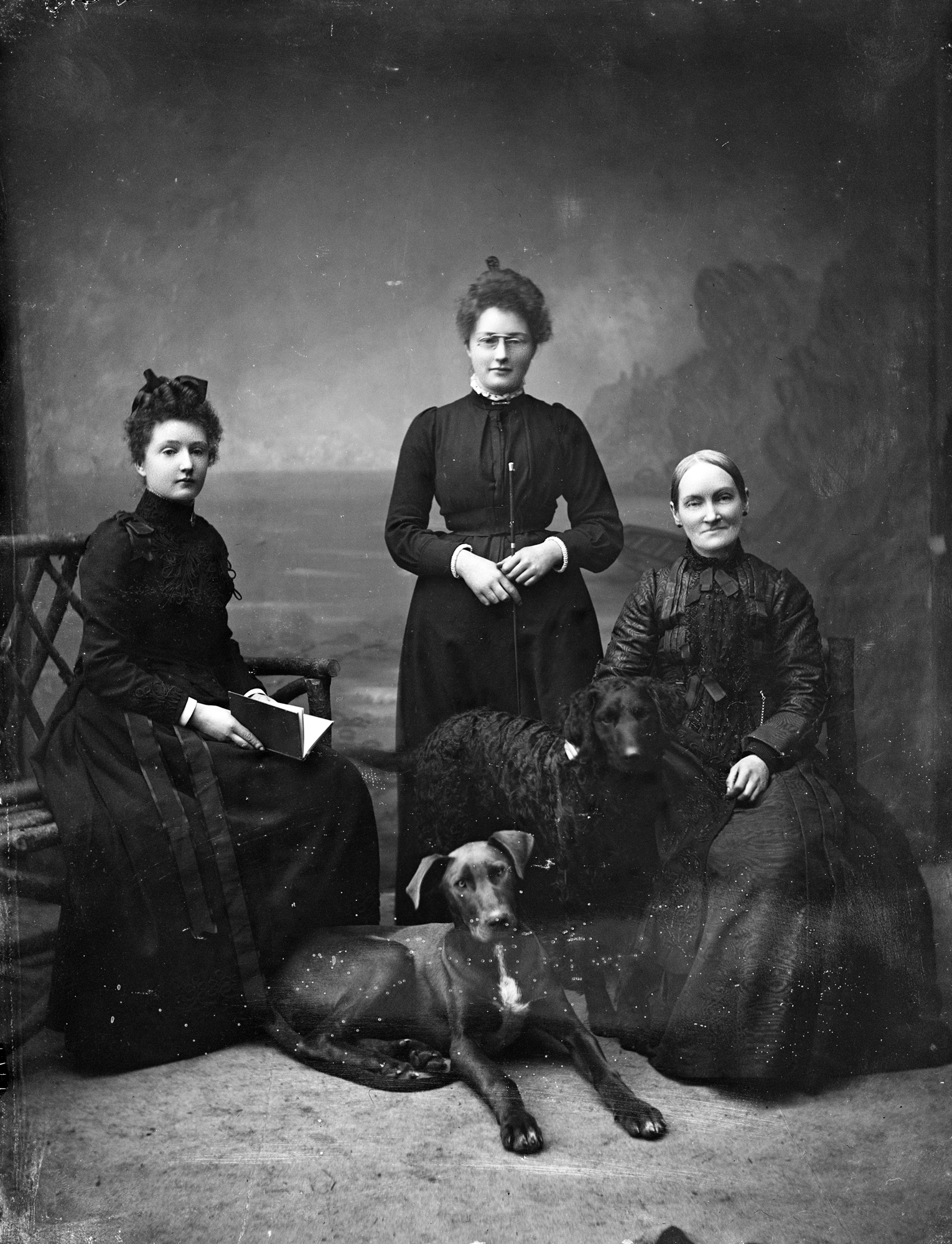 The Dobbyns (9723777552)
