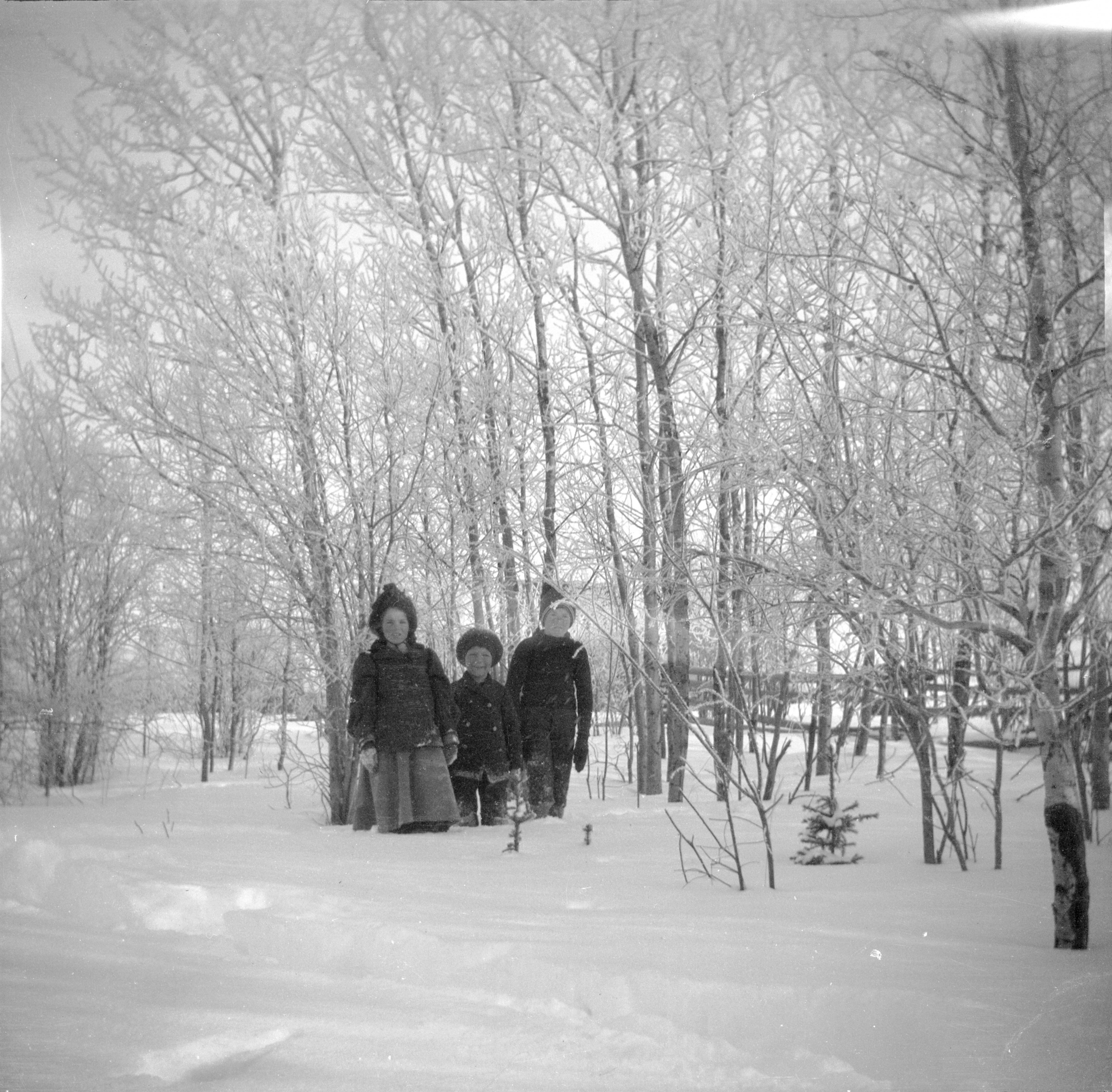 Brebner children in snow (15056645563)