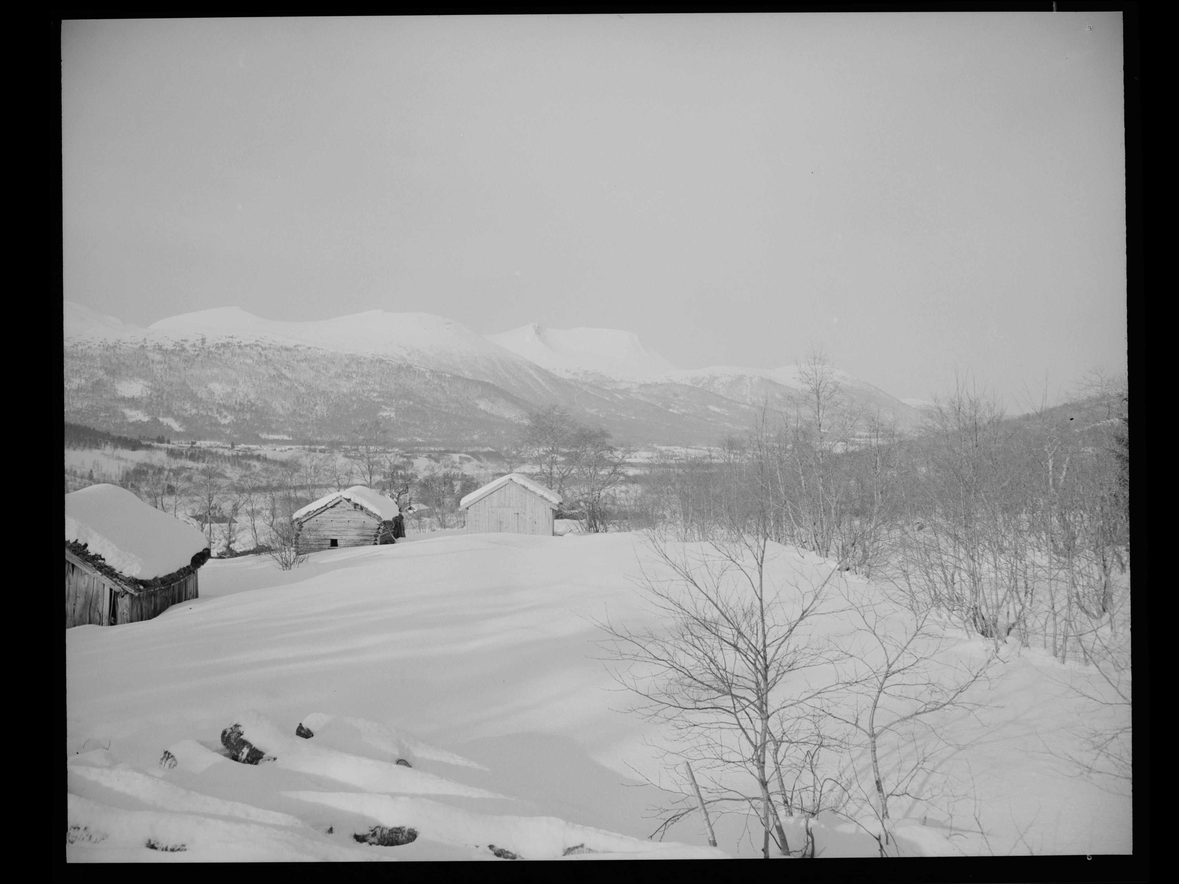 Ved Tresfjord - no-nb digifoto 20150205 00145 NB MIT FNR 15773
