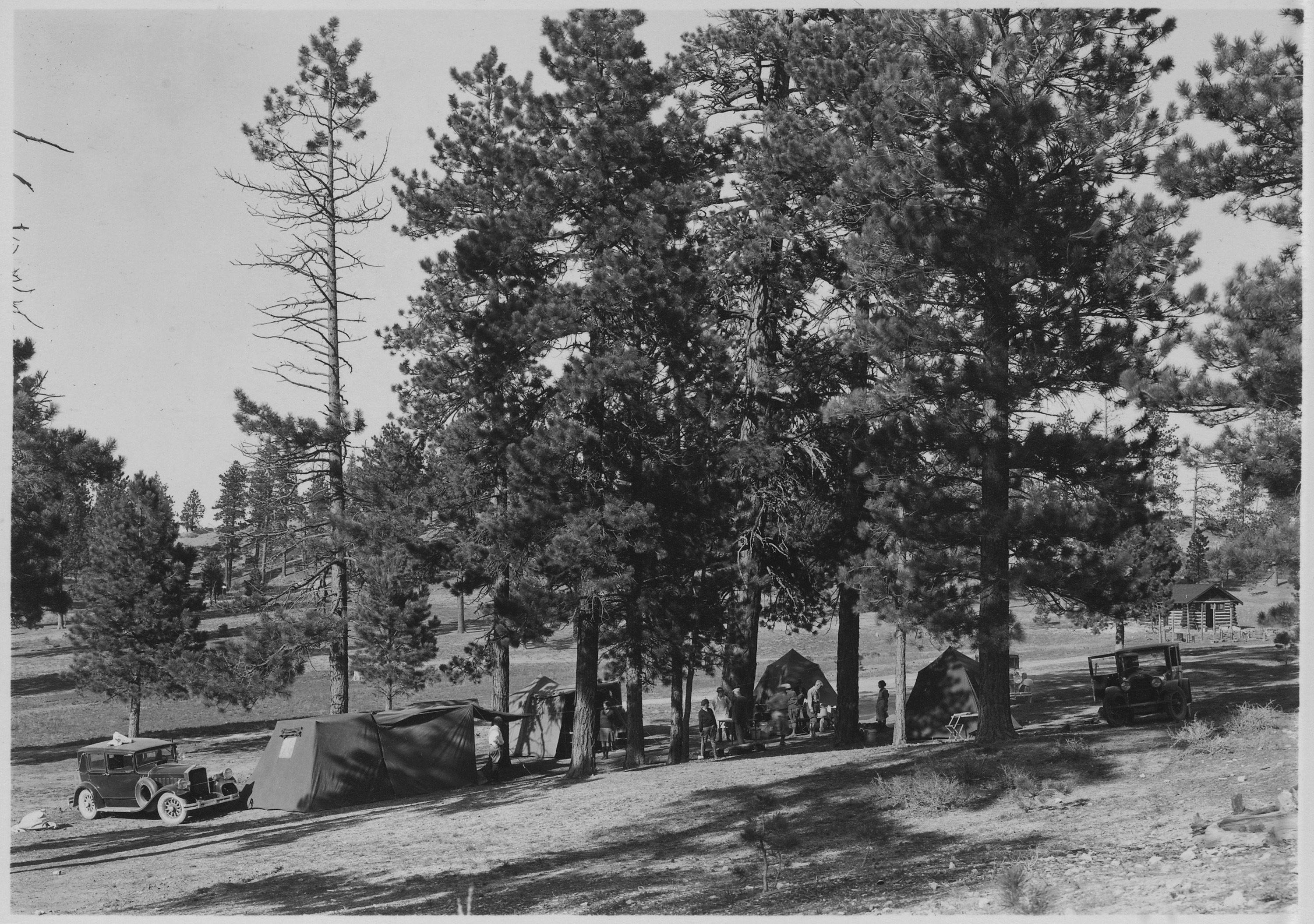 Tourist camp at Bryce Canyon. - NARA - 520221