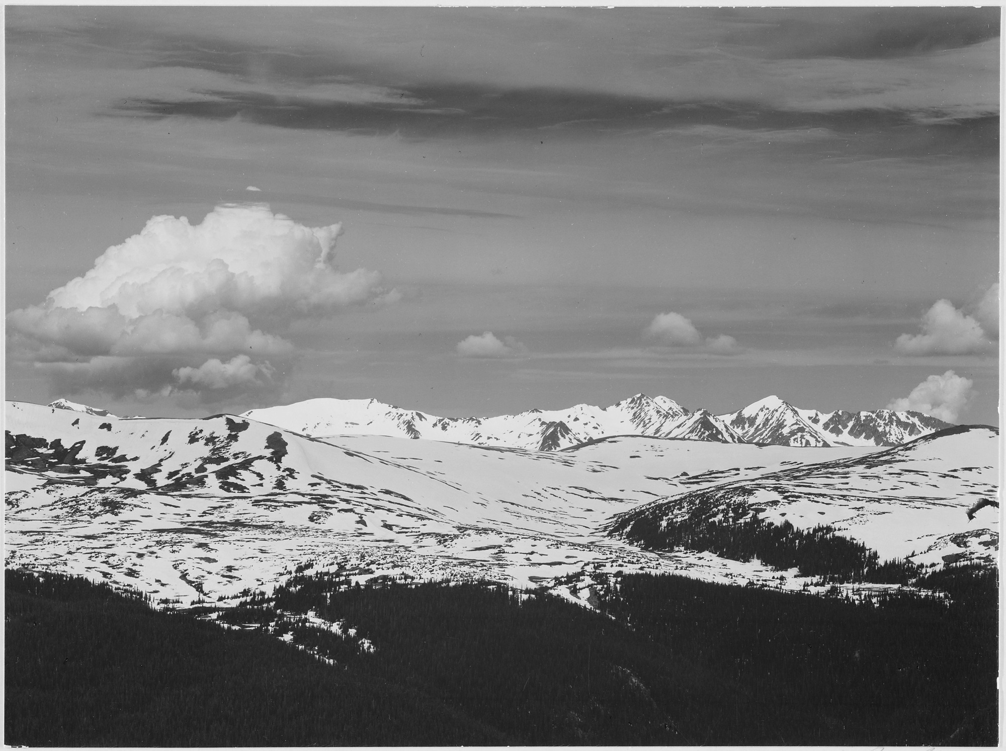 View at timberline, dark foreground, light snow capped mountain, gray sky, 