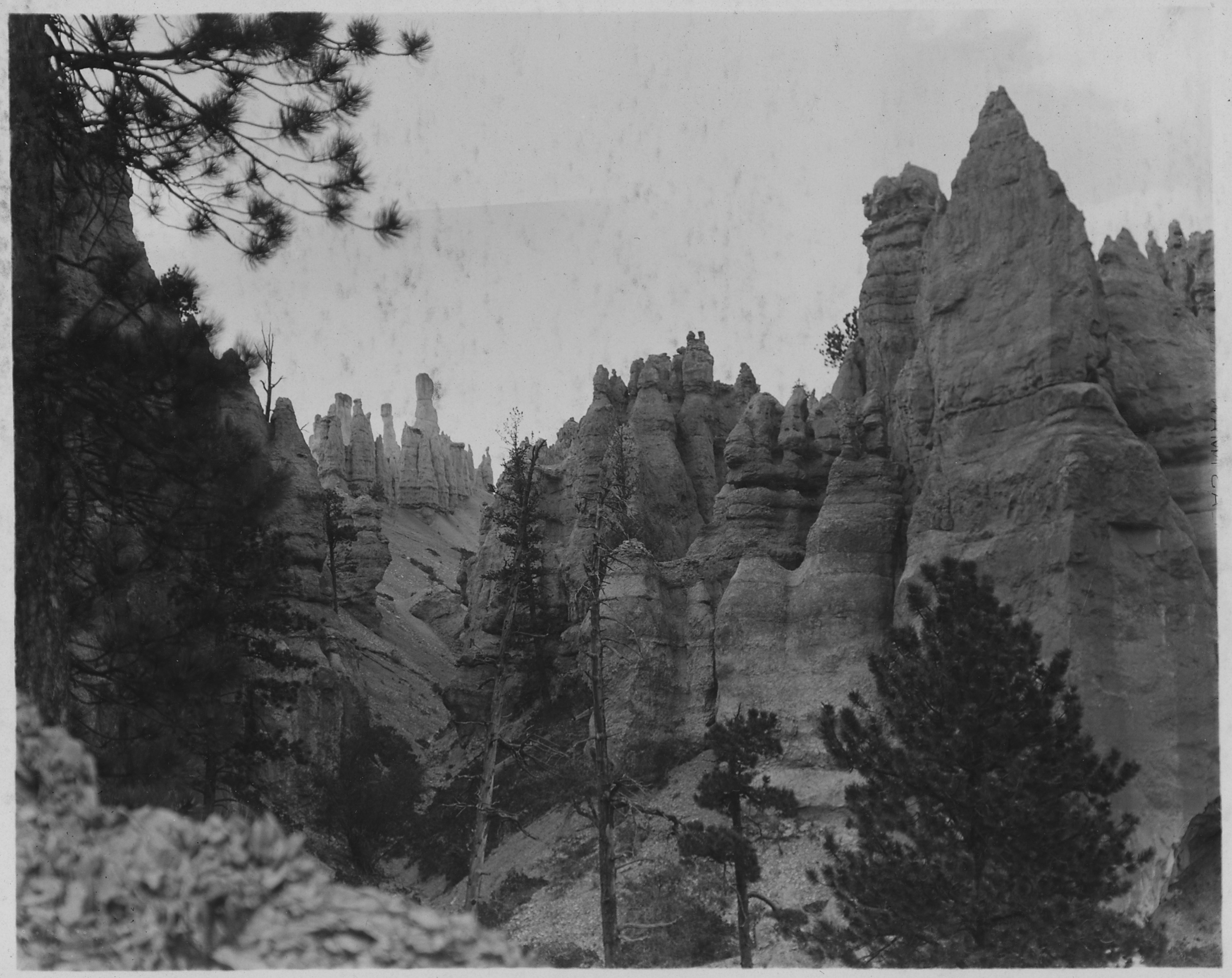 View near bottom of Bryce Canyon. - NARA - 520326