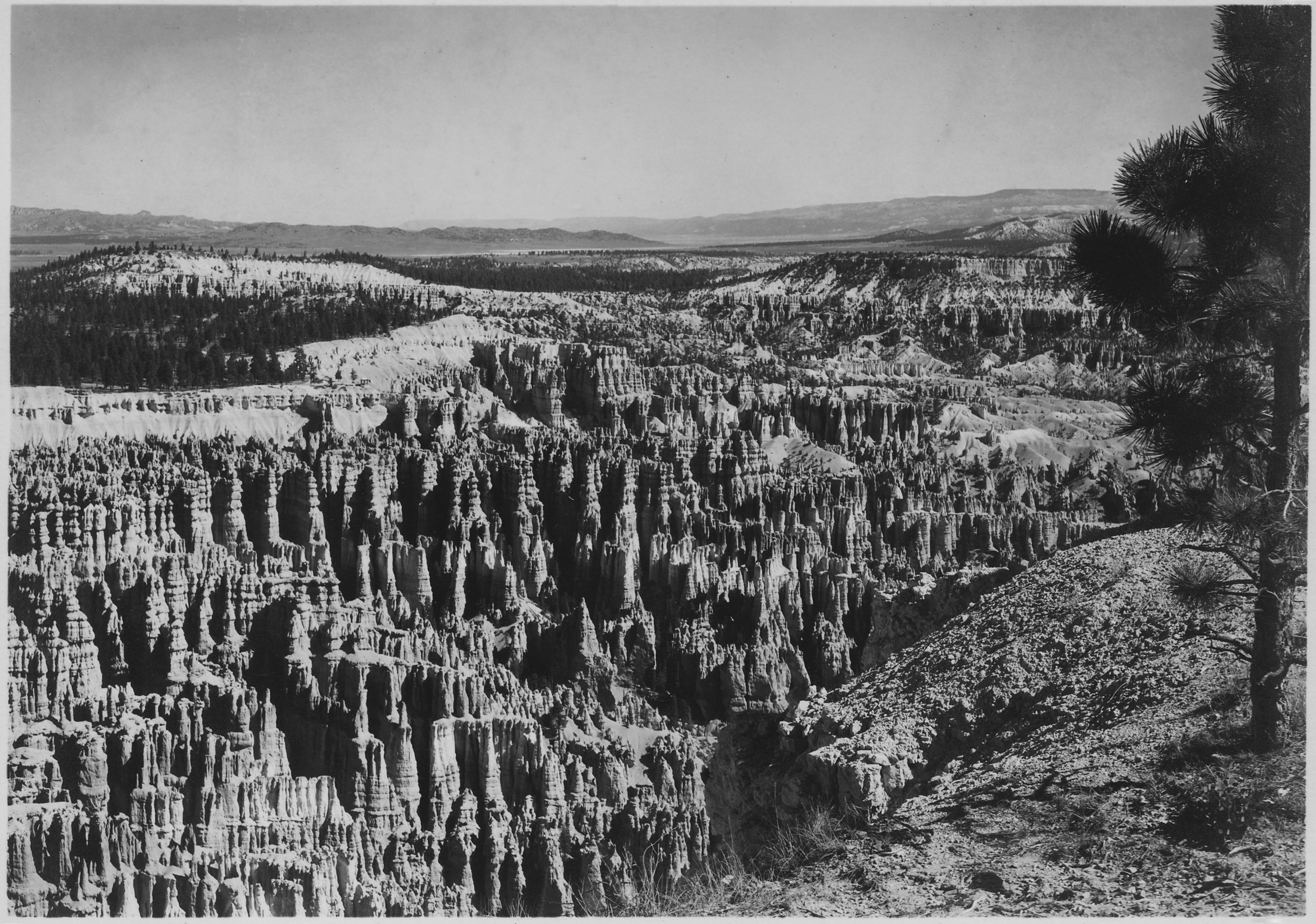 View northeast from Inspiration Point. - NARA - 520249