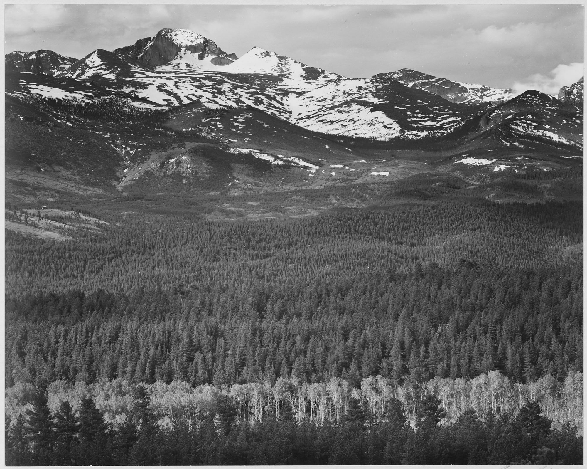 View of trees and snow-capped mountains, 