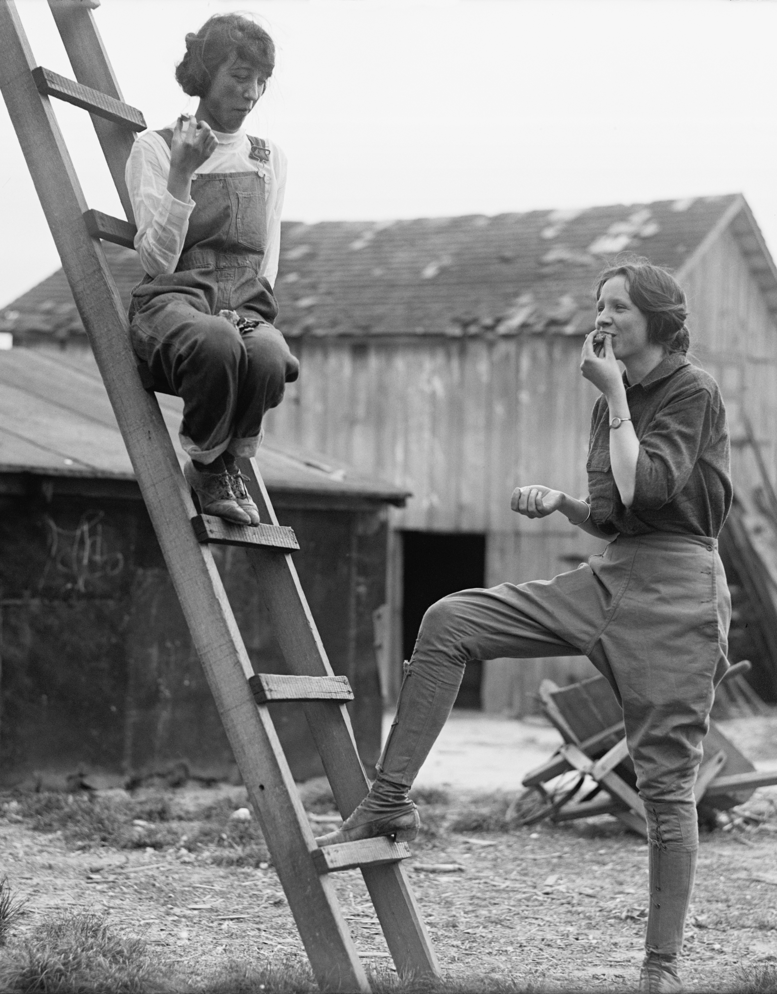 War gardeners hi-res cropped