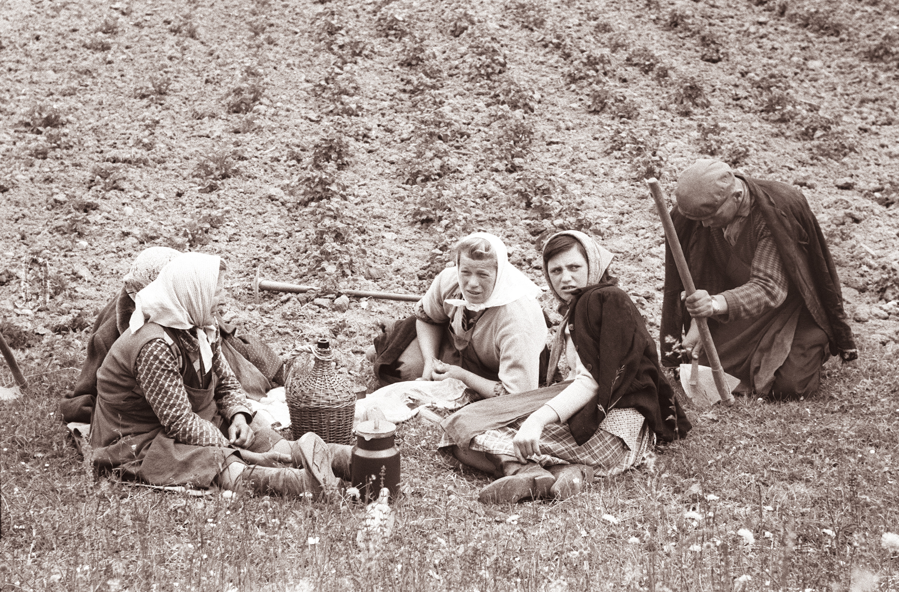 Zamušani na Ptujskem polju 1962 (2)