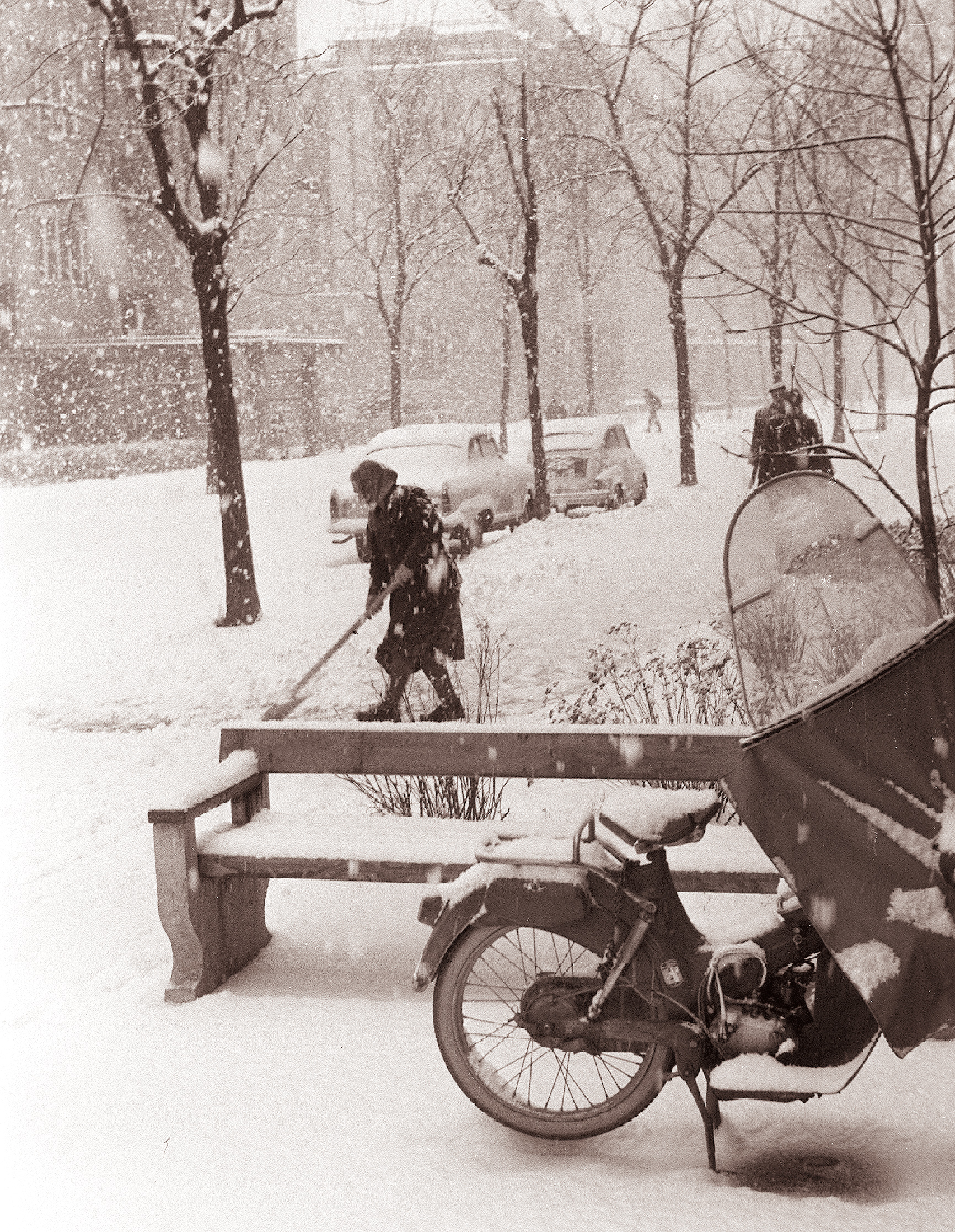 Zasnežen Maribor 1961 (3)