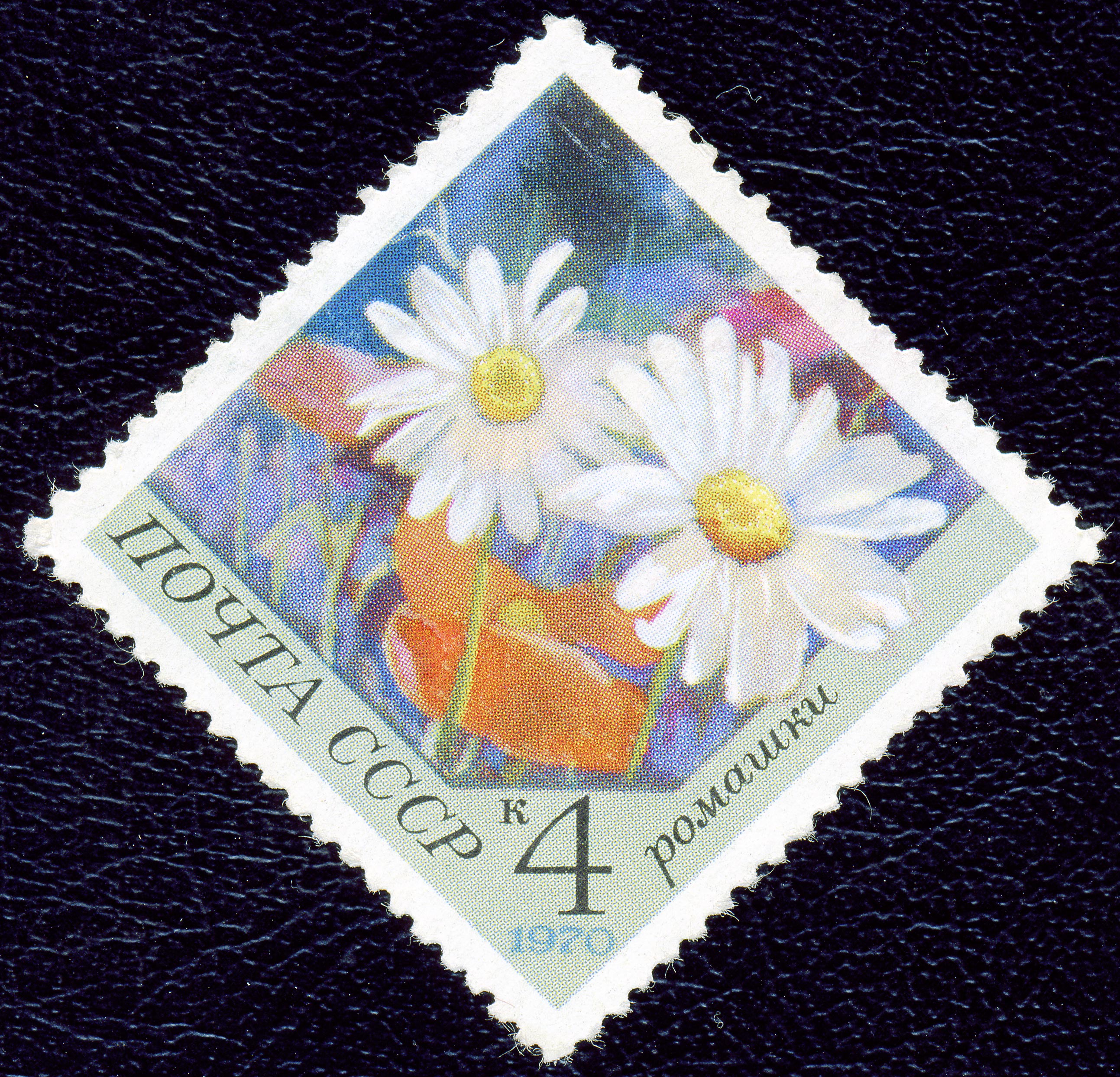 1970. Ромашки