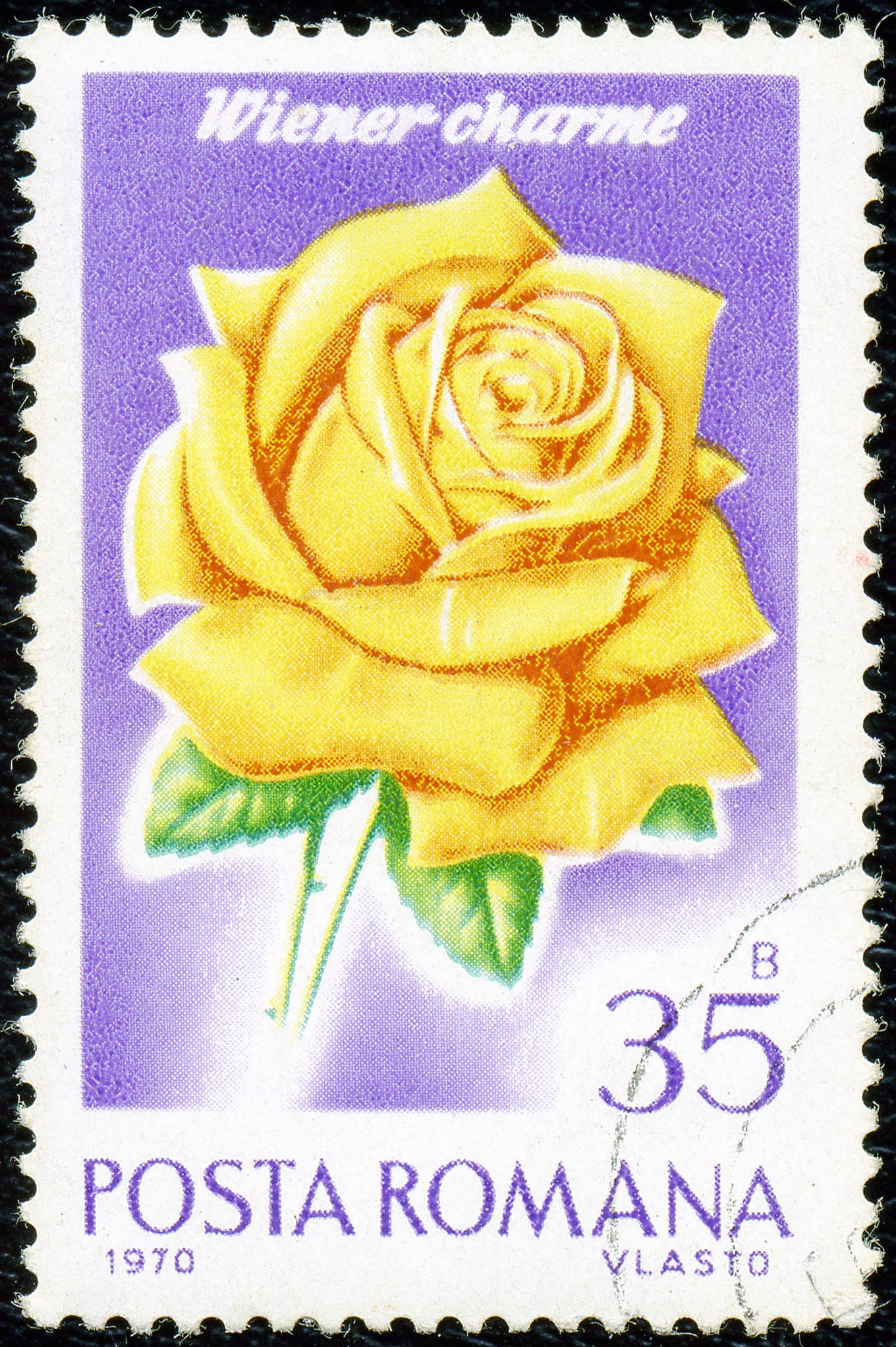 1970. Wiener charme