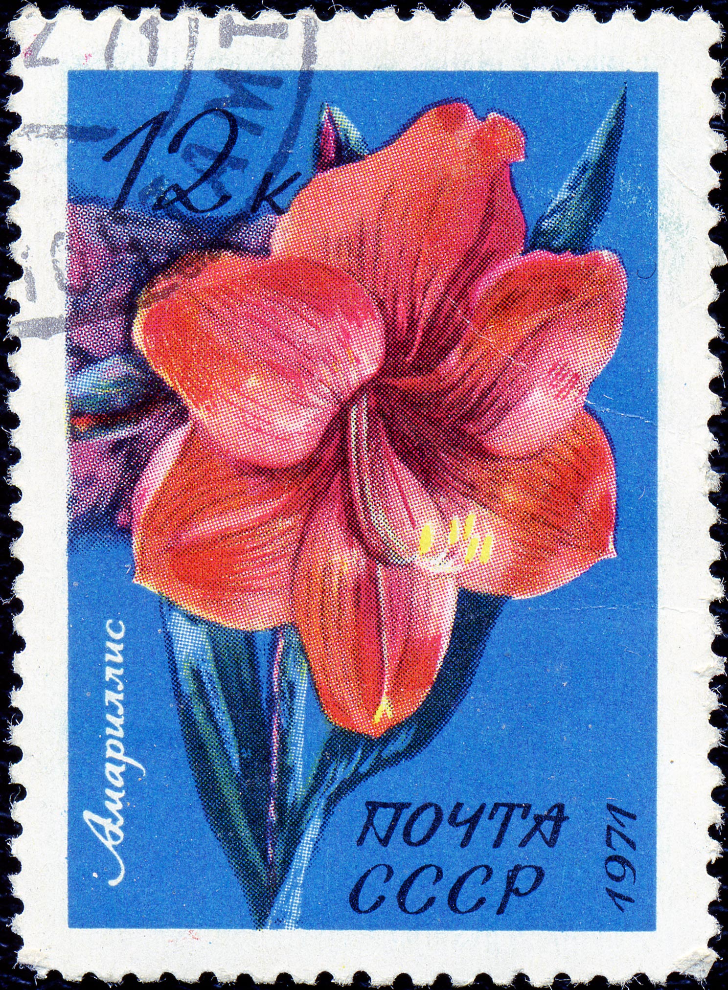 1971. Амарилис