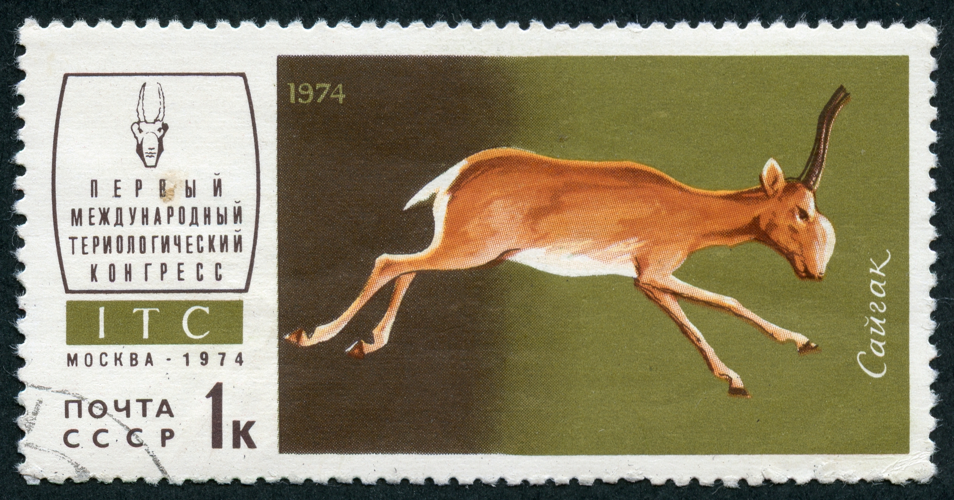 1974 CPA 4351
