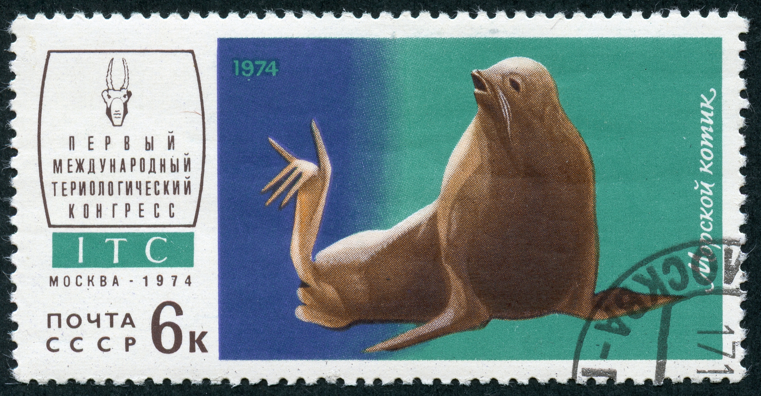 1974 CPA 4354