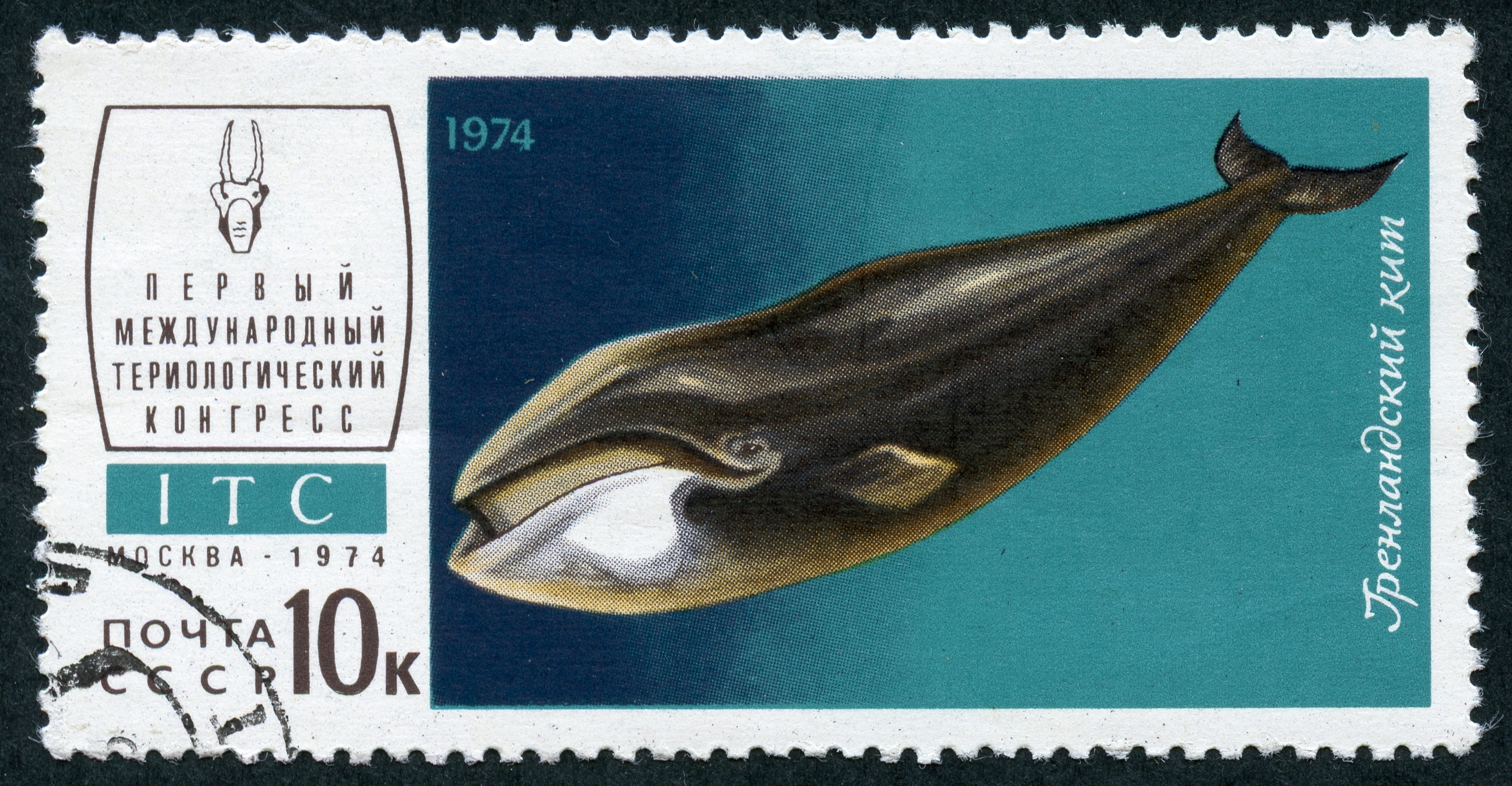 1974 CPA 4355