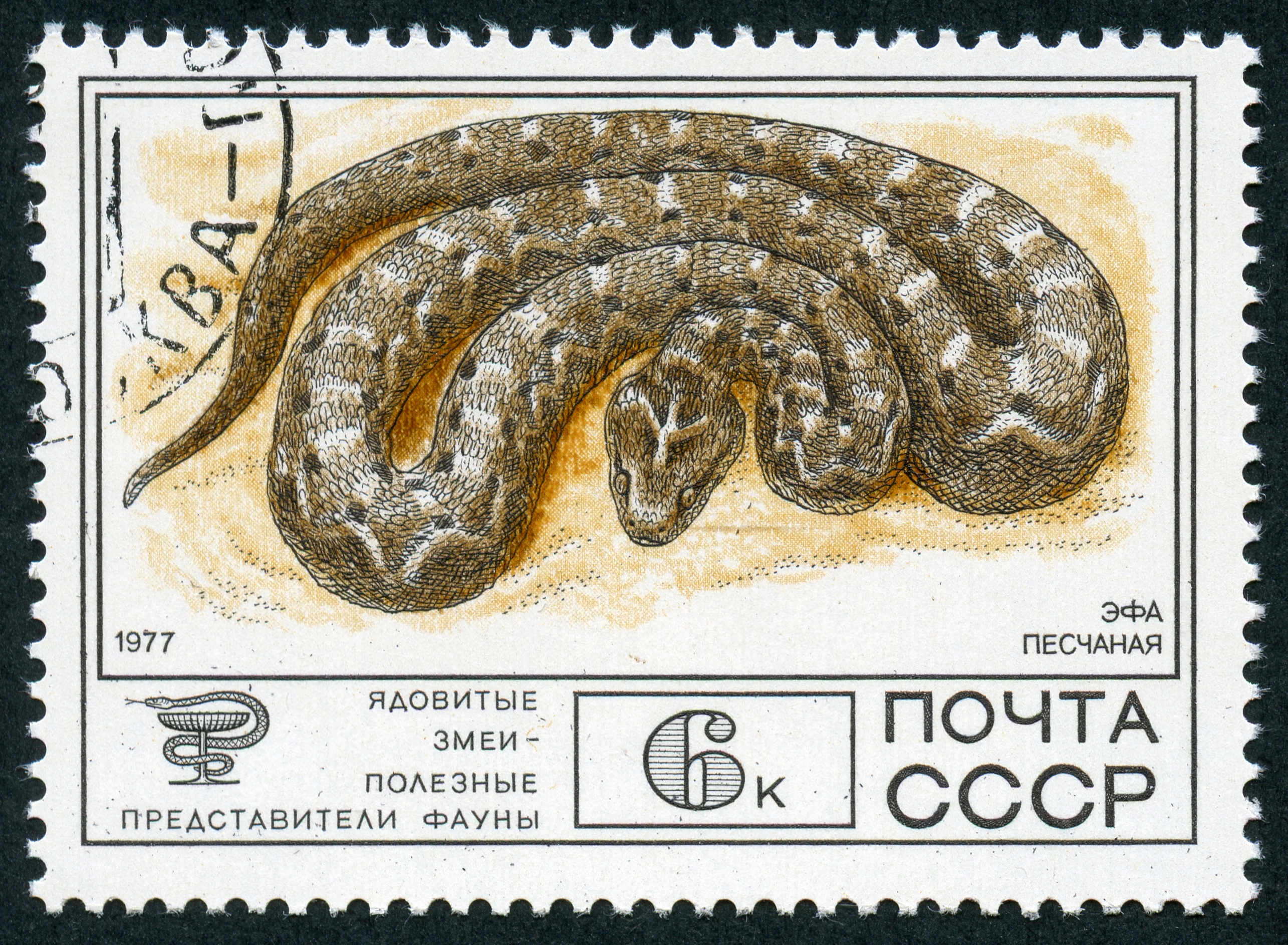 1977 CPA 4784