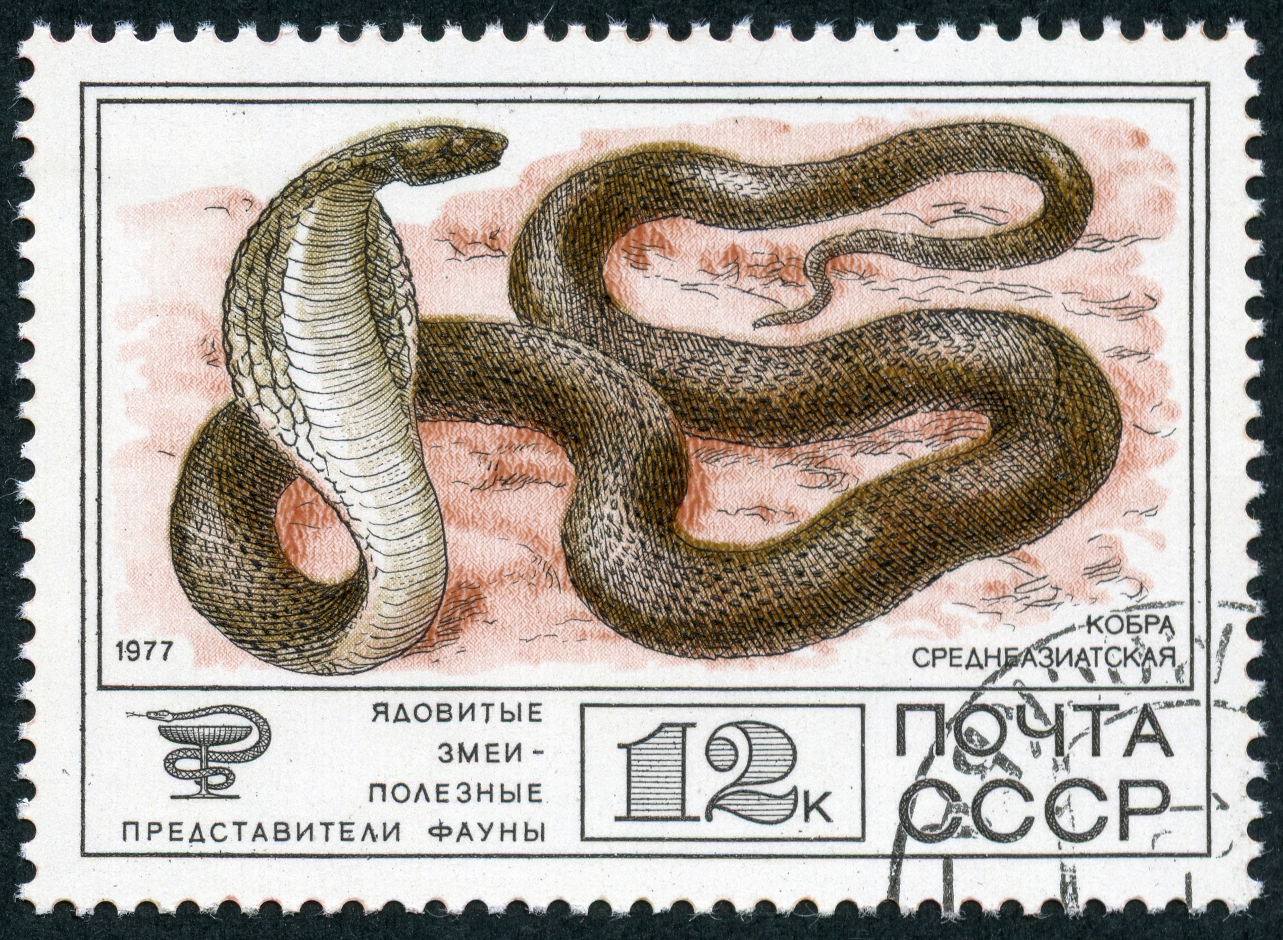 1977 CPA 4786