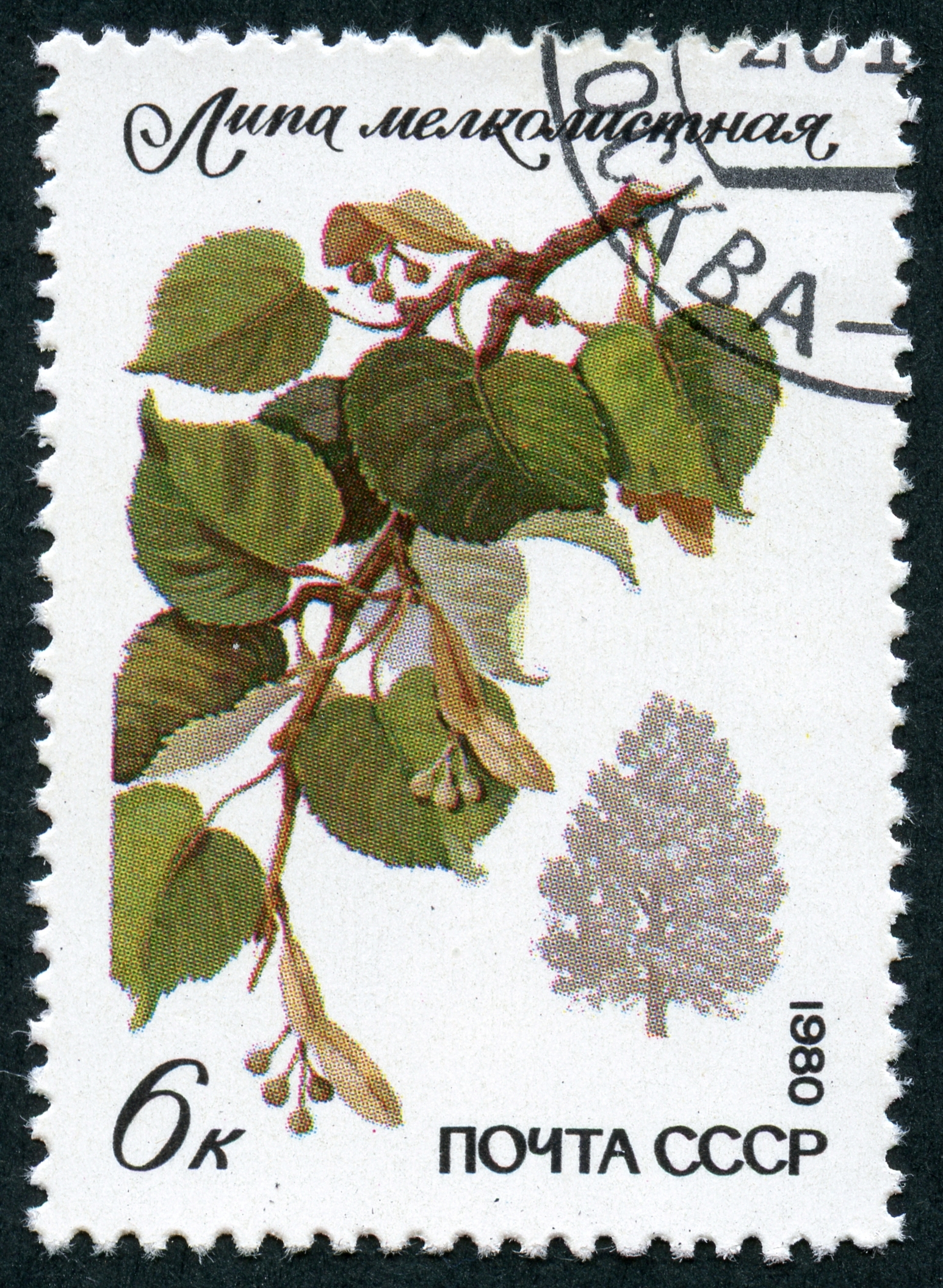 1980 CPA 5122