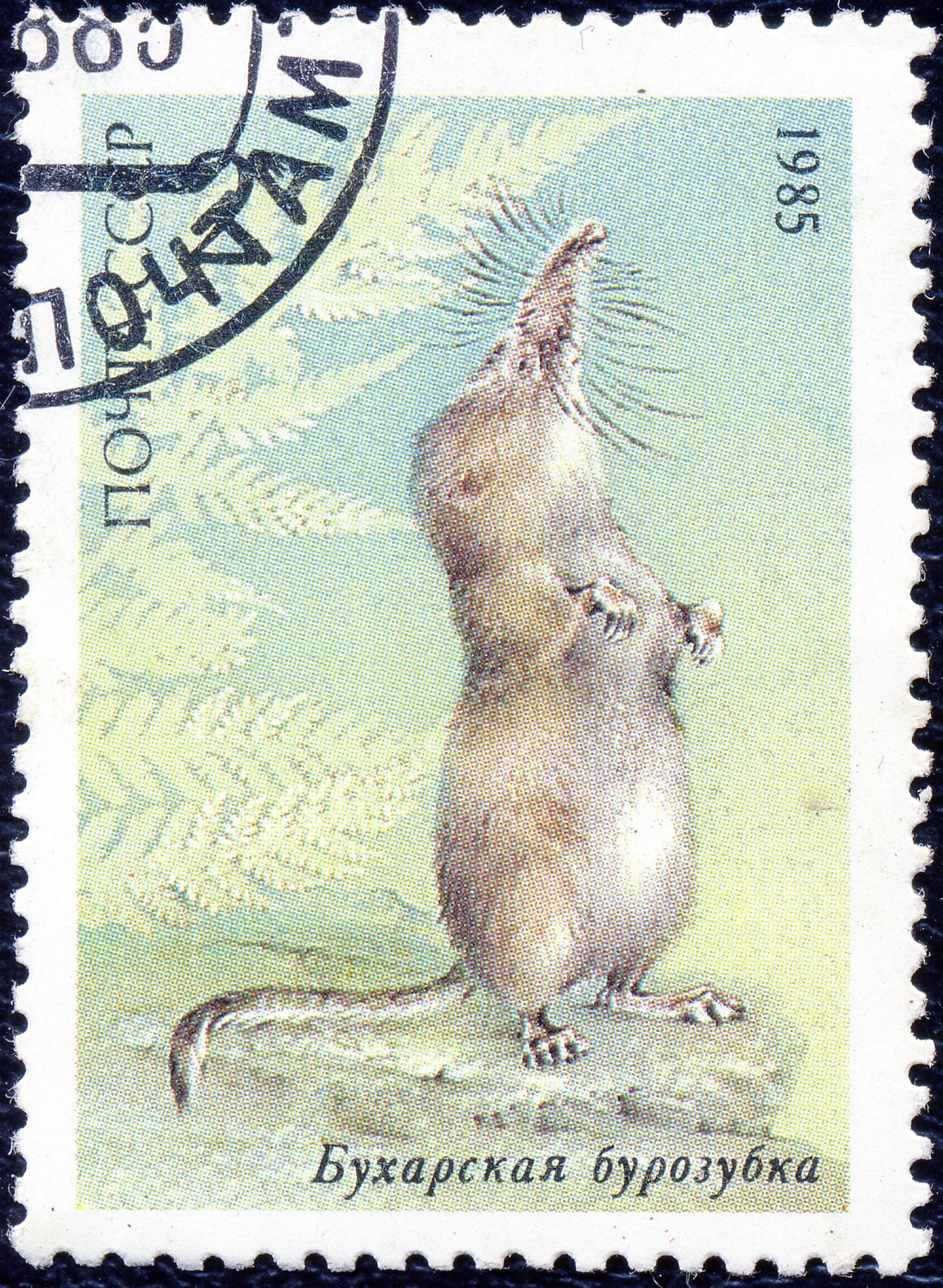 1985 CPA 5658