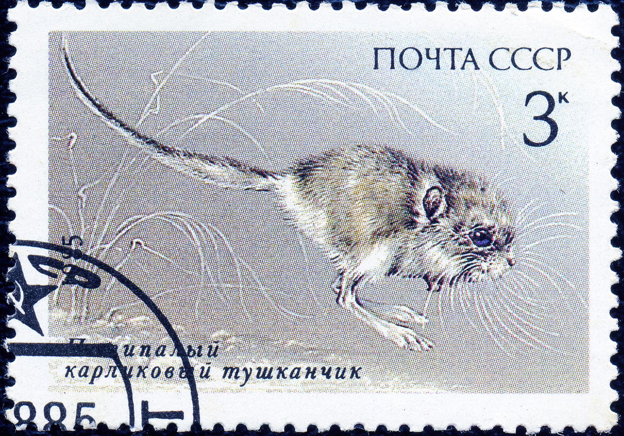 1985 CPA 5659
