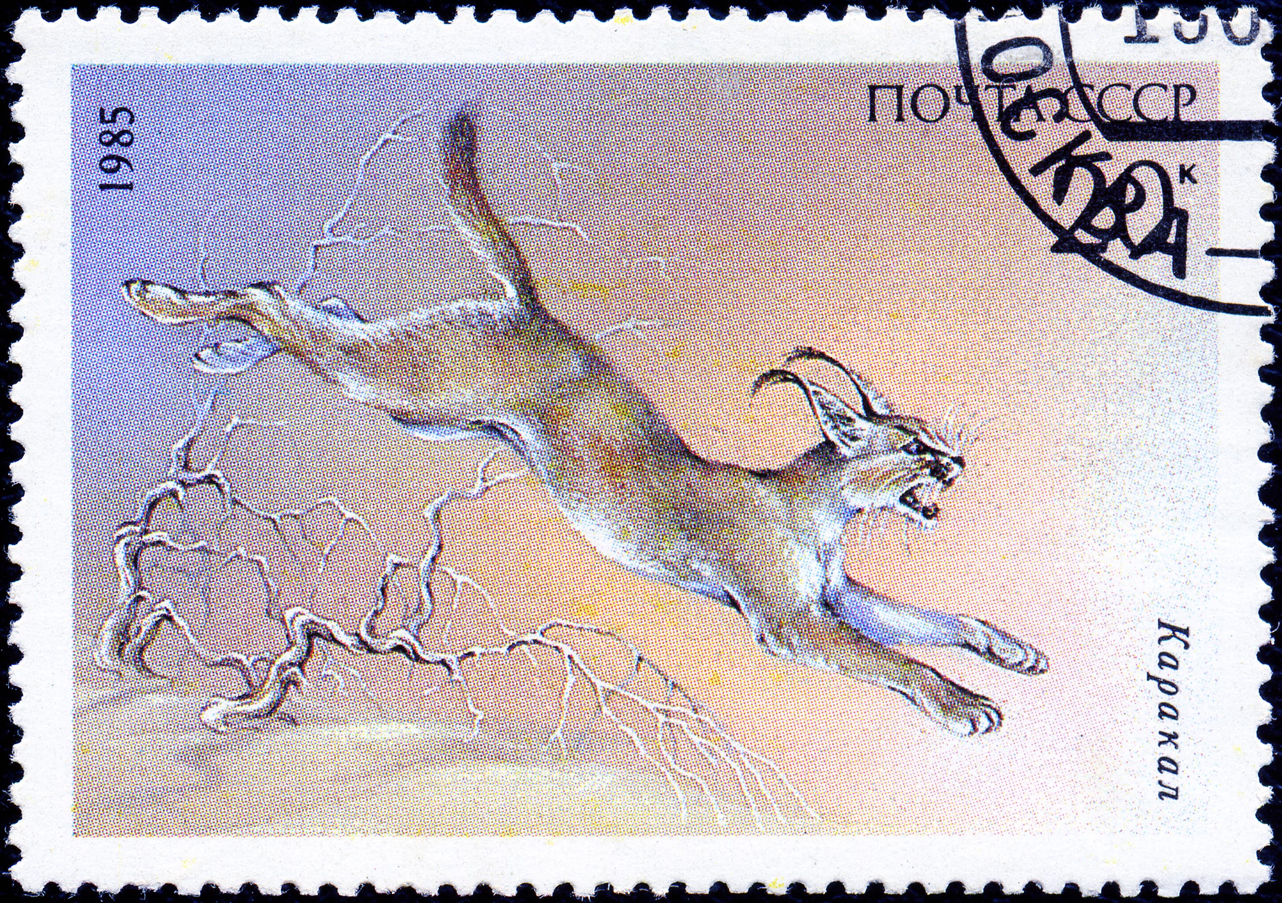 1985 CPA 5661 (1)