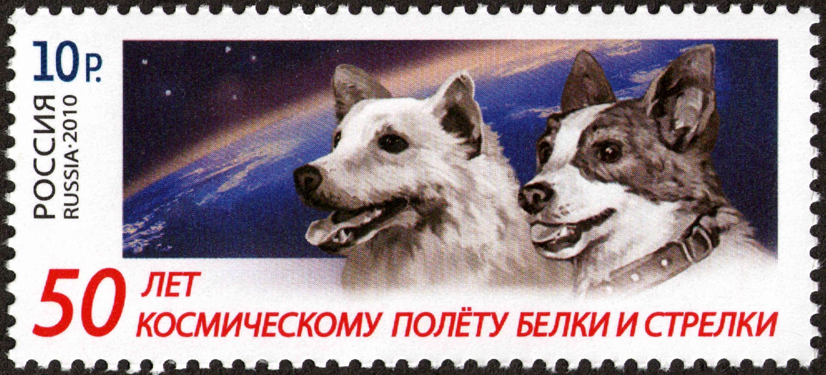 Belka & Strelka 50 Years Flight Stump