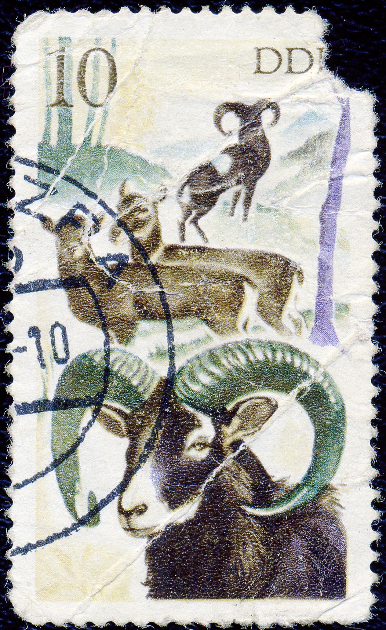 DDR. 10. Ð‘Ð°Ñ€Ð°Ð½Ñ‹