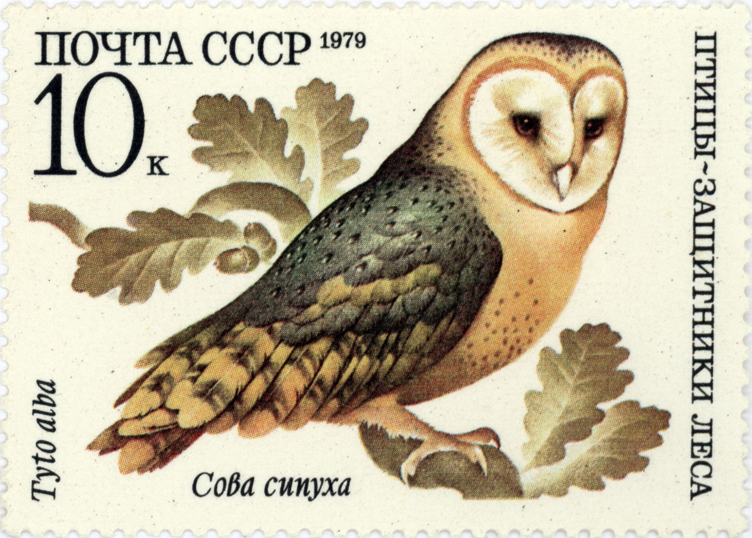 Owl. Birds - defenders of the forest. USSR stamp. 1979