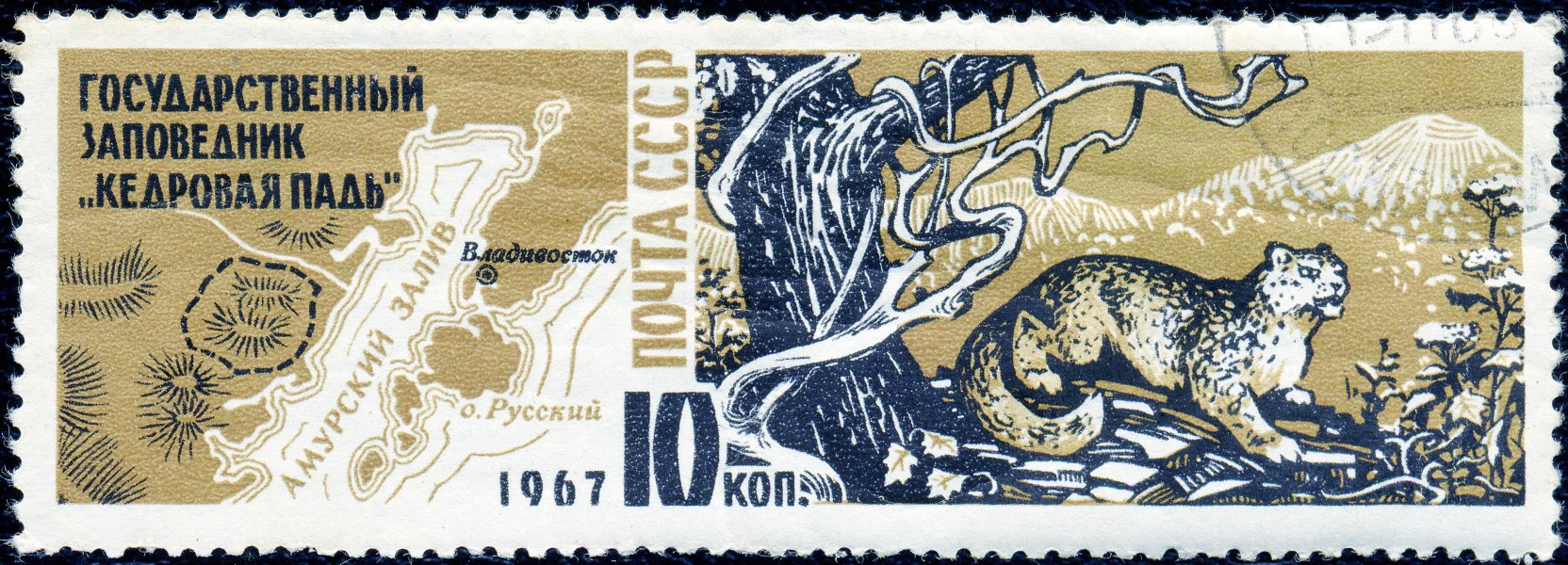 1967. Государственный заповедник Кедровая падь