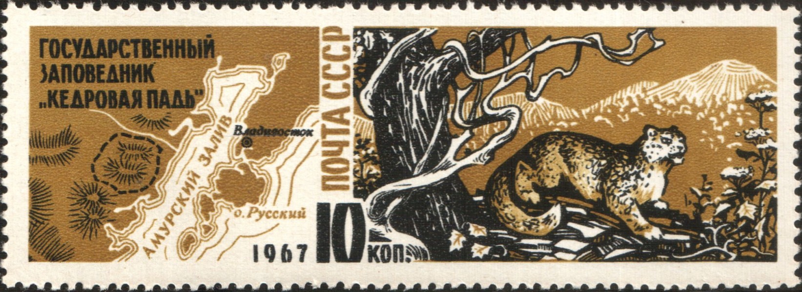 1967 CPA 3544